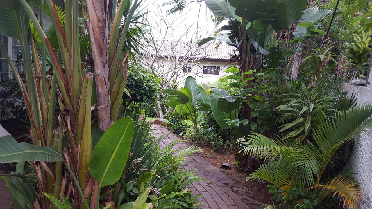Old N New Bed & Breakfast Umhlanga Luaran gambar